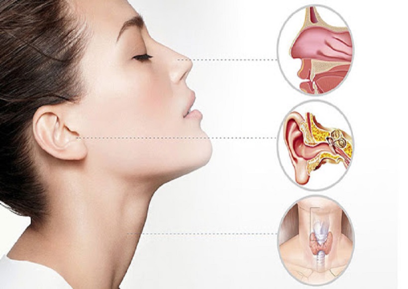 What to Look Out For When Searching For the Best ENT Doctor in India