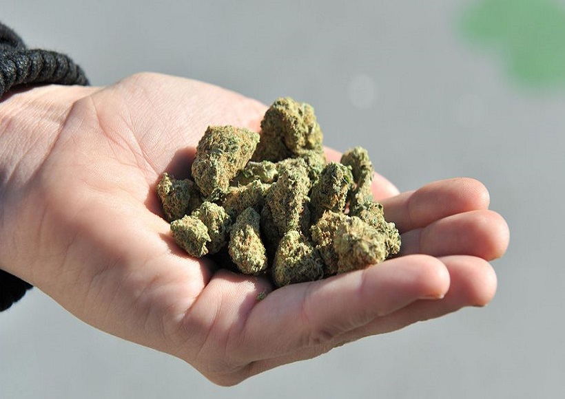 VAPE IS REASONABLY EFFICIENT FOR CANNABIS USERS