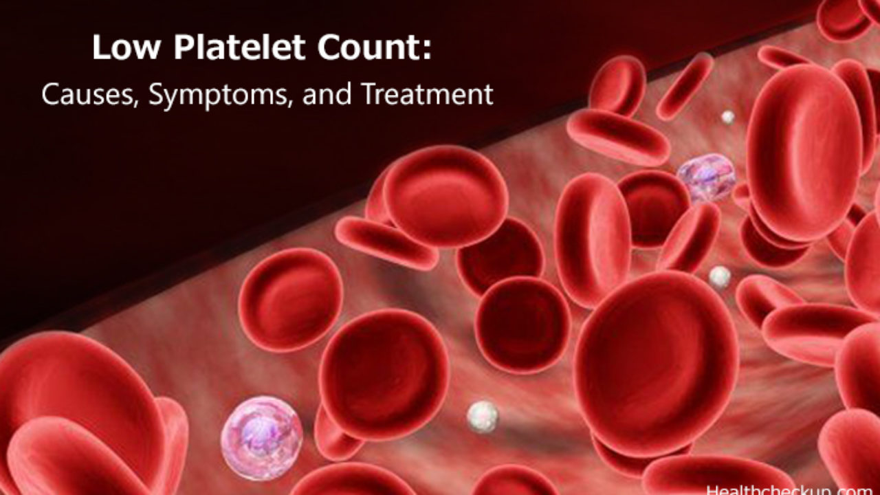 Thrombocytopenia (Low Platelet Count) : Causes, Symptoms & Treatment Low Platelet Count